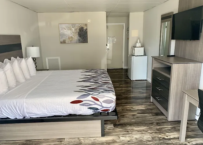 Simple Life Hotel